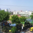 제주북초등학교 이미지