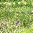 화곡노인복지센터 이미지