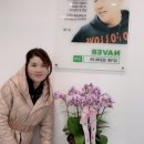 보석인셀덤 네이버블로그