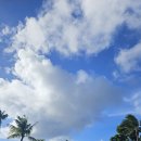 수요일에 떠나는 클래식 여행 | [괌 여행] 4살 아이와 떠나는 괌 5박6일 일정 및 여행후기