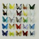 소명 행정사사무소 이미지