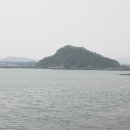 식산봉의 황근자생지 및 상록활엽수림 이미지