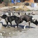 죽변점현대자동차 이미지