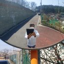 대전 보문산 근처 이미지