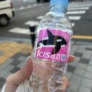 잼토리 이미지