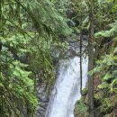 Cypress Falls and Whyte Lake (West Vancouver) - 9시 이미지