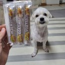 독스앤휴먼 | 크리스마스 서울펫쇼 이벤트, 펫쇼백후기,참가업체