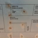 대화장여관 이미지