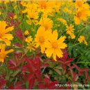 독봉산약수터 이미지