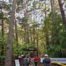 고갯마루식당 | 설악산 내설악 대승령 산행 후기(2025.10.19)