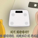 프로짐 네이버블로그