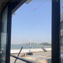 오이도조개92 이미지