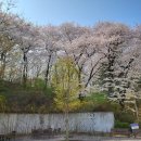 지에스(GS)25 개포늘푸른점 이미지