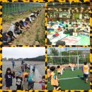 용인대노원태권도체육관 이미지