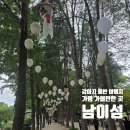 가평남이섬케이팝호텔 | 강아지 동반 여행지 가평 가볼만한곳 남이섬 입장권 & 놀거리