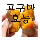 고구마 효능 이미지