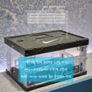 40대 뷰티/키키브라더스 두피문신 후기