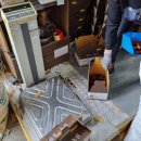 왕축농원 이미지