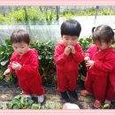 효동농장 이미지