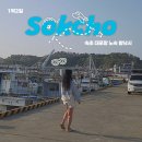 세븐일레븐 우두희망점 | [속초 대포항] 1박 2일｜4월 밤낚시 노숙 여행 일기