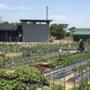 신당농장 이미지