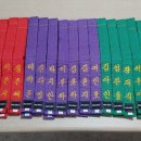 용인대독수리태권도 이미지