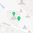 채도스칼프 이미지