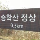 스라프 이미지