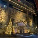 (주)지피클럽 | 호랑이 기운이 솟아나요. | 단풍 막차 타러 도성으로 헤쳐모이자. (도우큐먼트, 피그먼츠, 크레뮤 클럽)