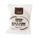 선유애견