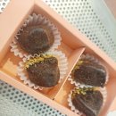 애견식단 이미지