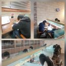 원일중학교앞 이미지