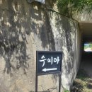 청주 수피아자작나무농장 모임 장소 추천 시원한 힐링 후기