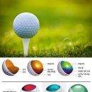 골프공 숫자의 의미 이미지