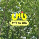 천안OK캠핑 이미지