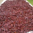 가을농장 이미지