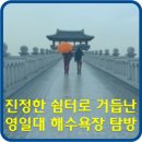 연화재사거리-새천년대로 이미지