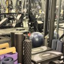 마이티핏 이미지