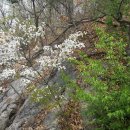 사기막 농장 이미지