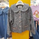 리틀밥독 이미지