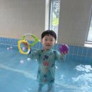 솜팡 Daum카페