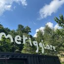 메리지아레 | 서울근교 애견동반 캠핑장/양평 신상 캠핑장→메리지아레 캠핑장