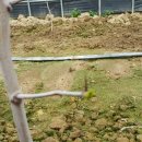 보선농장 이미지