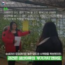 정아농장 티스토리