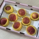 2SSUNY | 구천농원 복숭아 4트 성공 후기 (구매 성공방법 구매 팁)