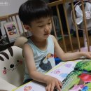 생각나무 홈스쿨 이미지