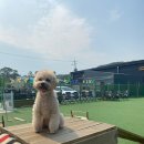 트레밍MM 이미지