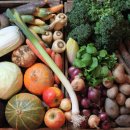 신선헬스 이미지