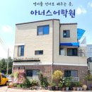 아너스어학원