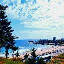 거진11리 마을 이미지